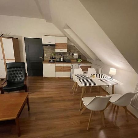 Francis Apartment - Lazenske Centrum Карлові Вари Екстер'єр фото