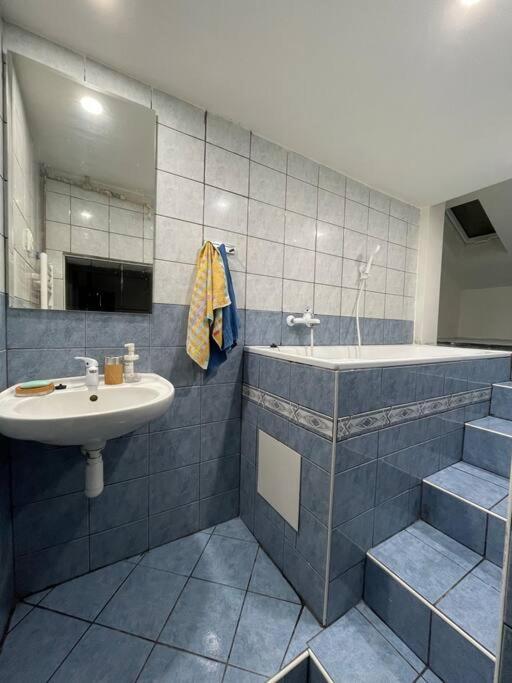Francis Apartment - Lazenske Centrum Карлові Вари Екстер'єр фото