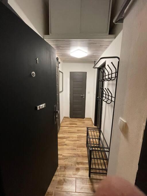 Francis Apartment - Lazenske Centrum Карлові Вари Екстер'єр фото