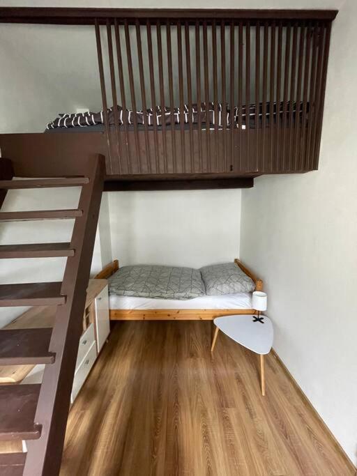 Francis Apartment - Lazenske Centrum Карлові Вари Екстер'єр фото