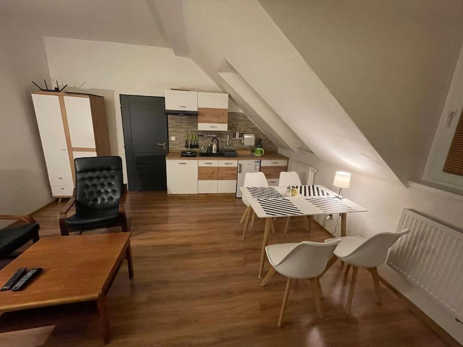 Francis Apartment - Lazenske Centrum Карлові Вари Екстер'єр фото